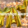 Spring 2023 Development and Alumni Relations Scholarship Recipients