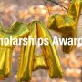 Spring 2024 Development and Alumni Relations Scholarship Recipients